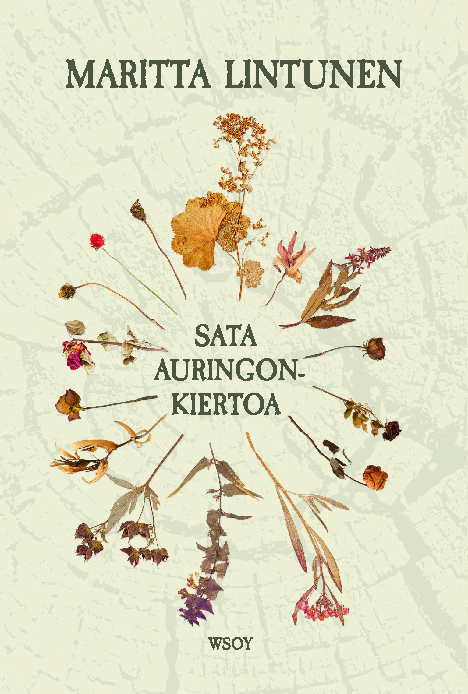 Sata auringonkiertoa (Hardcover)
