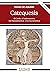 Catequesis: El Credo, el Padrenuestro, los Mandamientos y los Sacramentos (Patmos nº 155) (Spanish Edition)