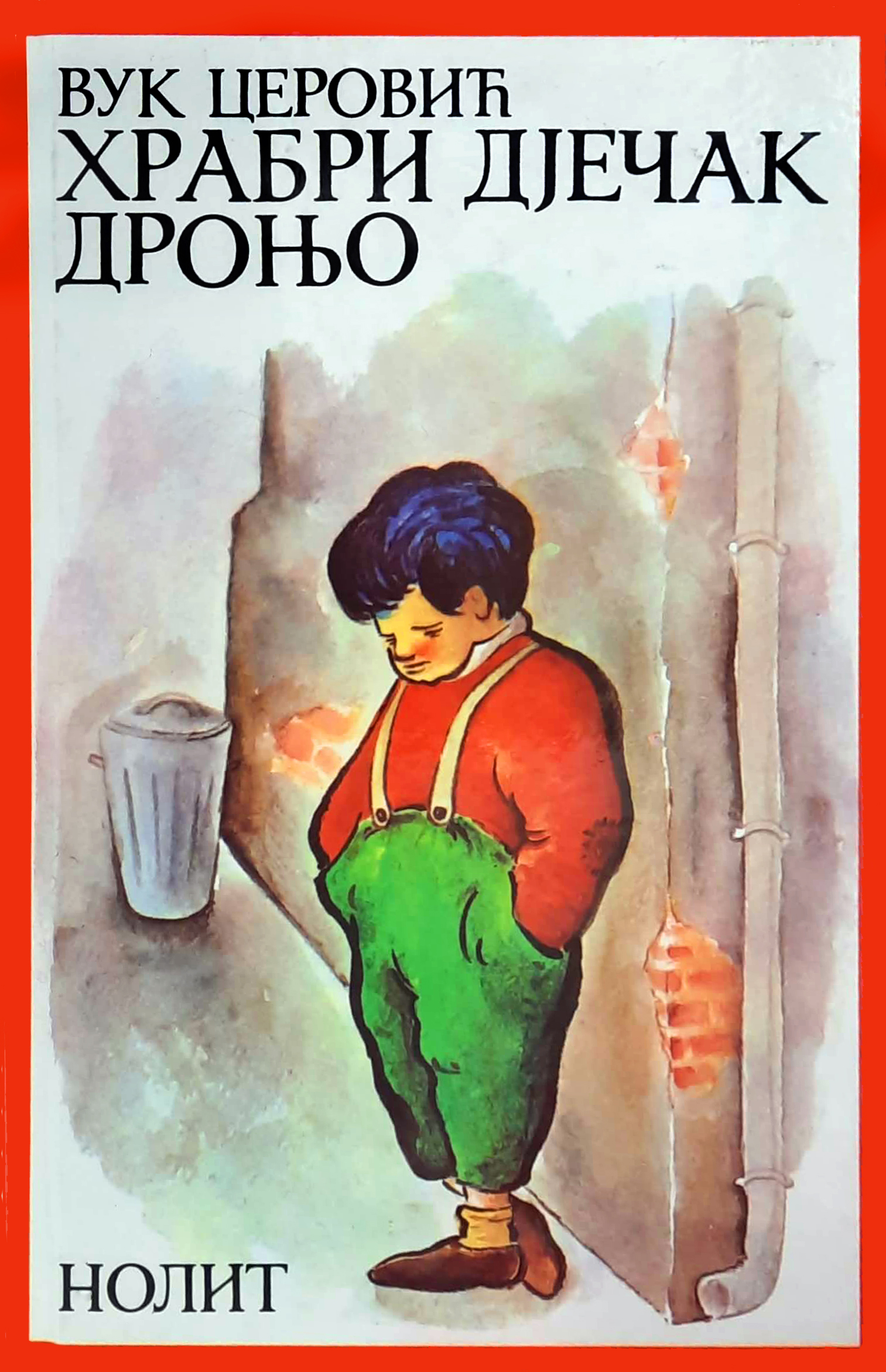 Hrabri dječak Dronjo (Hardcover)