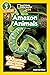 Amazon Animals (National Ge...