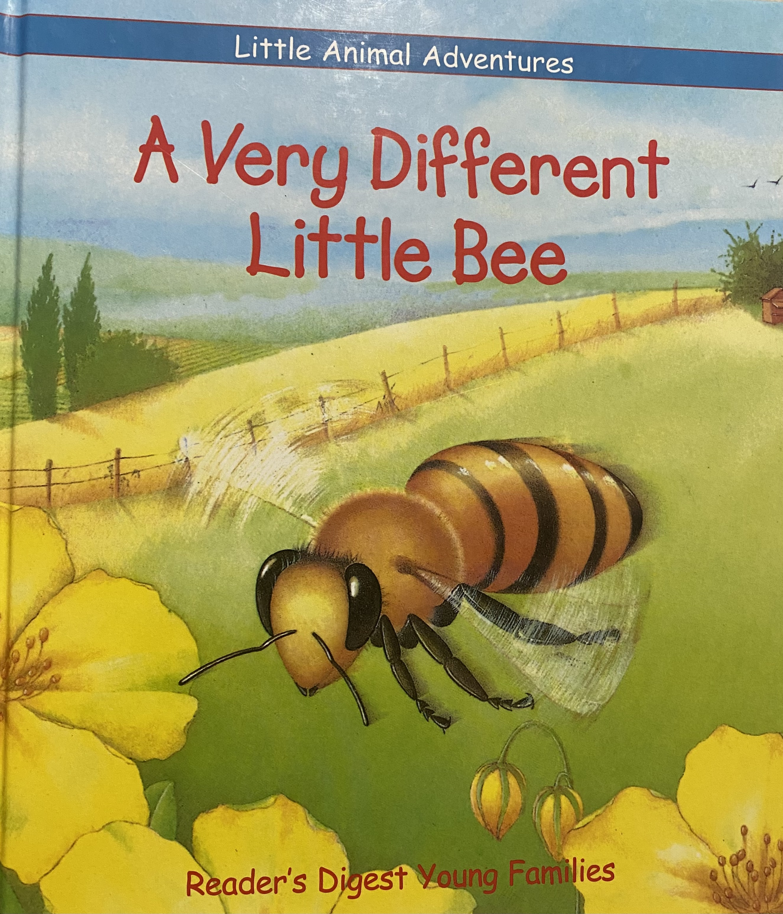 A Very Different Little Bee