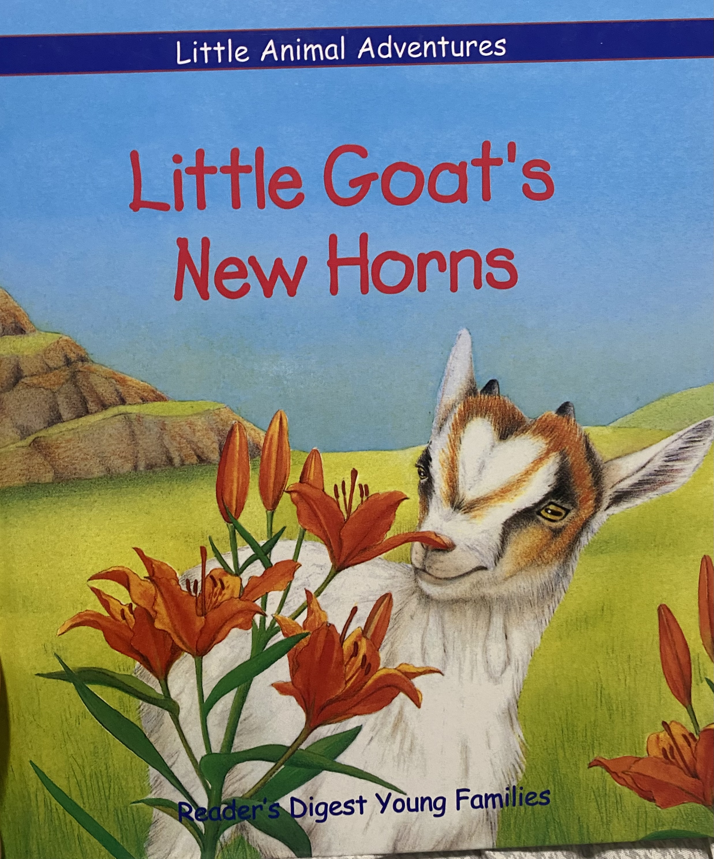 Little Goat's New Horns