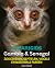 Safarigids Gambia & Senegal