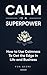 Calm is a Superpower by Fox Geere