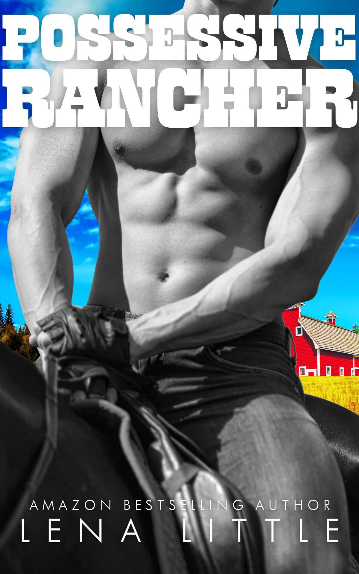 Possessive Rancher (Conklin County Daddies, #2)