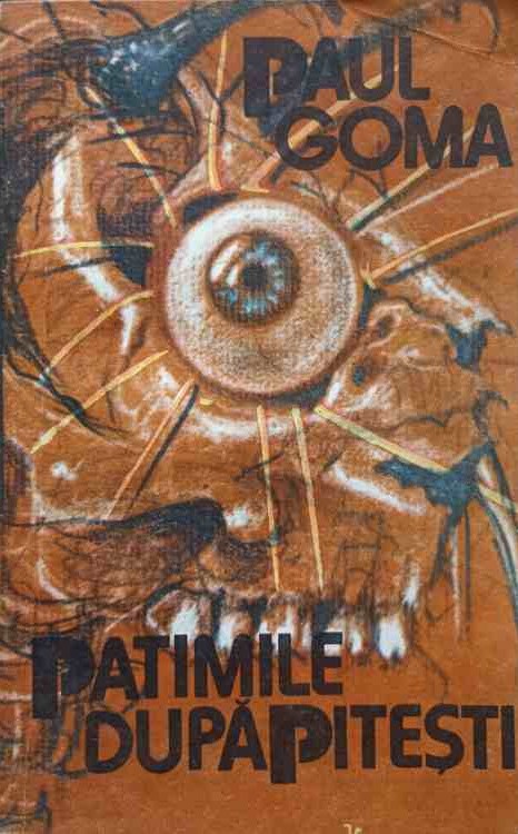 Patimile după Pitești (Paperback)
