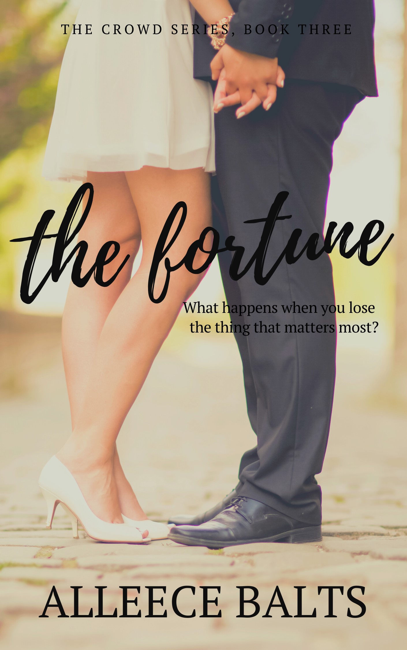 The Fortune: a novel about true riches (The Crowd Series Book 3)