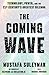 The Coming Wave: Technology, Power, and the Twenty-first Century's Greatest Dilemma