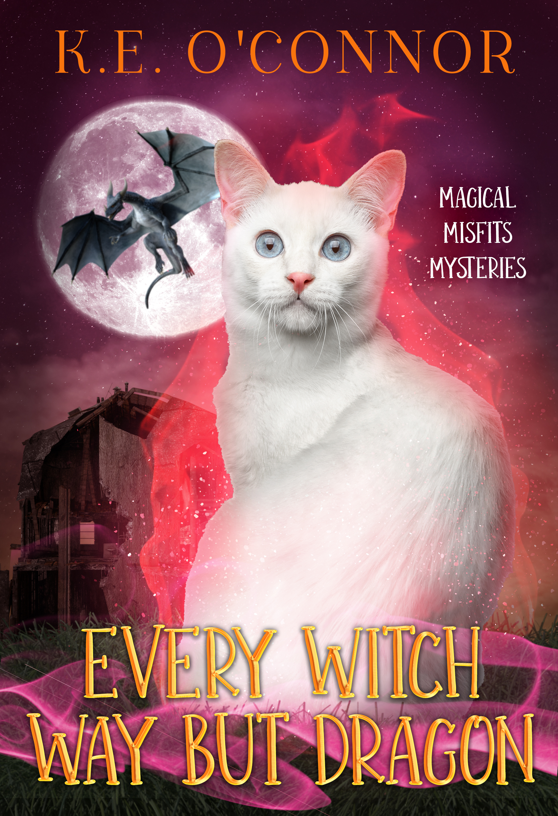 Every Witch Way but Dragon: A Talking Cat Cozy Mystery (Magical Misfits Mysteries Book 12)