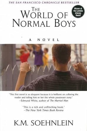 The World Of Normal Boys by K. M. Soehnlein (2001-08-01)