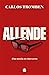 Allende. Una novela en cinc...