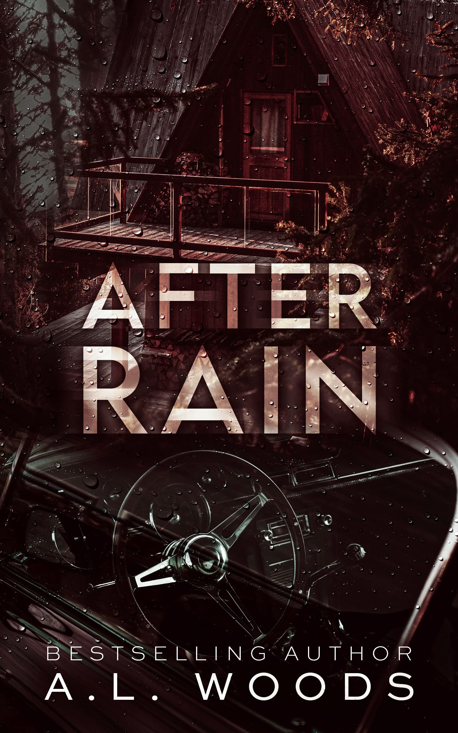 After Rain (Into the Storm #2)
