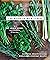The Nourish Me Kitchen: Essential Health Wisdom and Wholesome Everyday Recipes