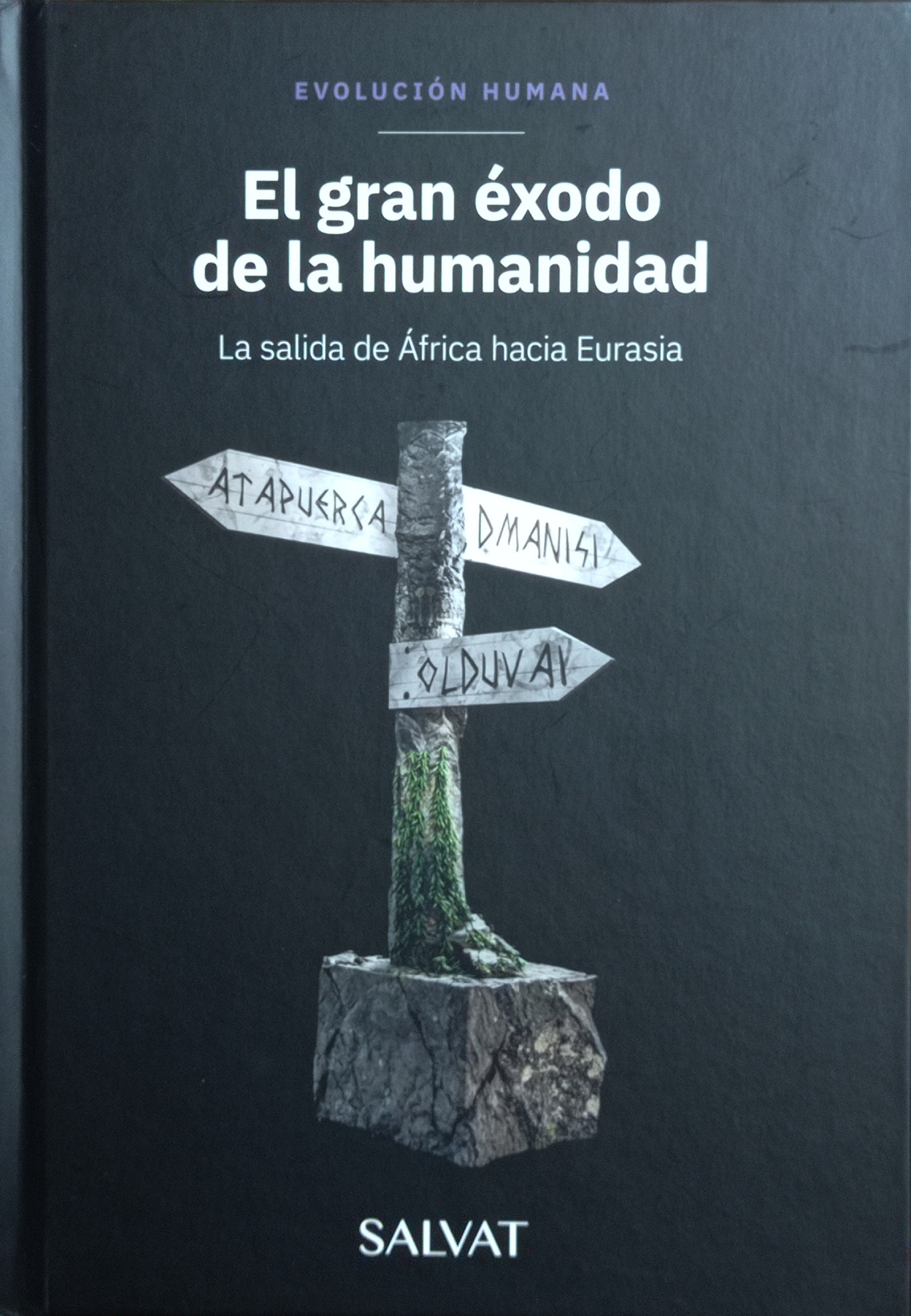 El gran éxodo de la humanidad: La salida de África hacia Eurasia