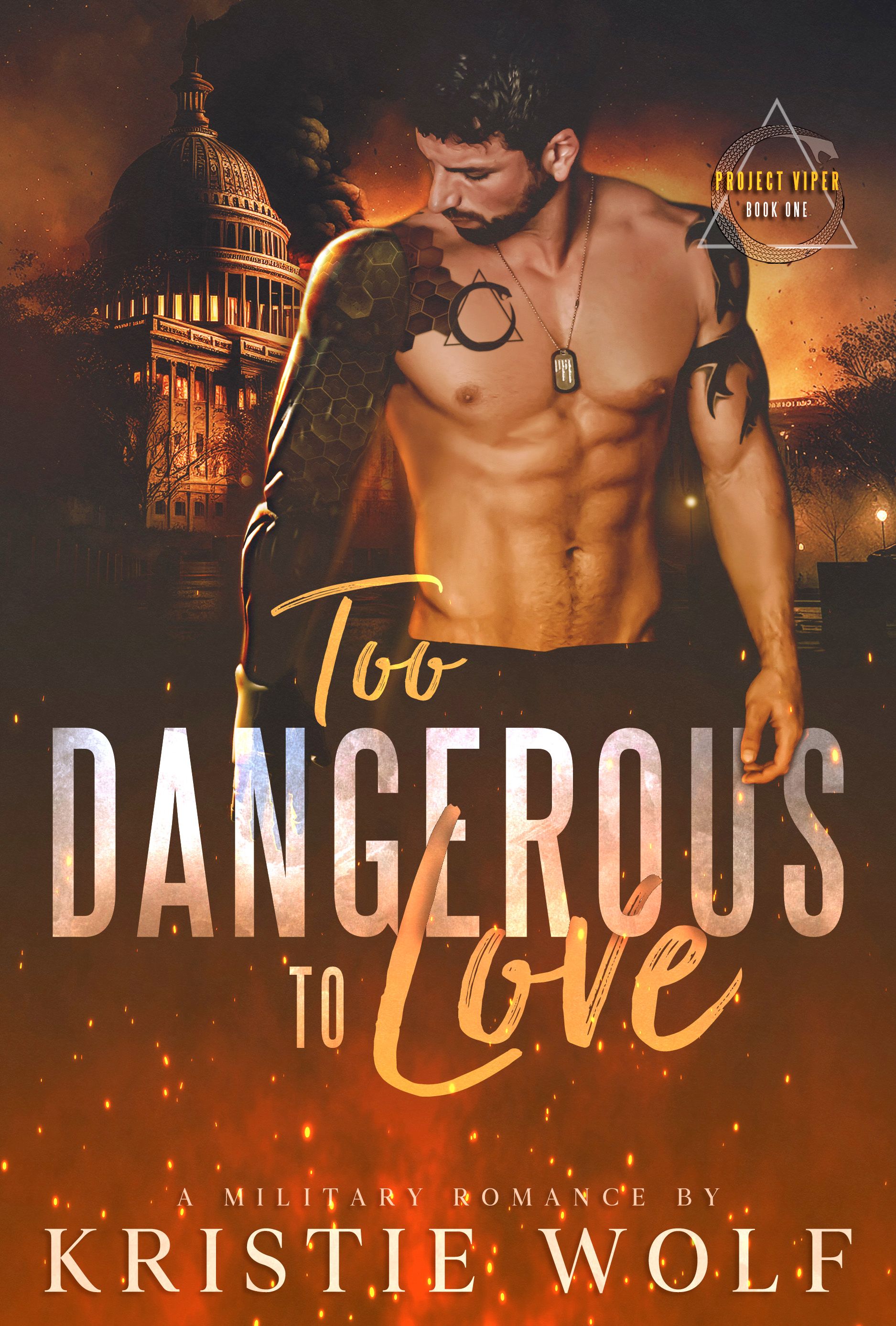 Too Dangerous to Love (Project VIPER, #1)