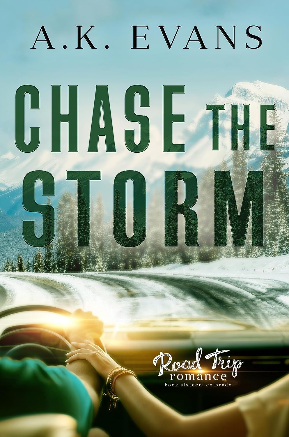 Chase the Storm (Road Trip Romance #16)