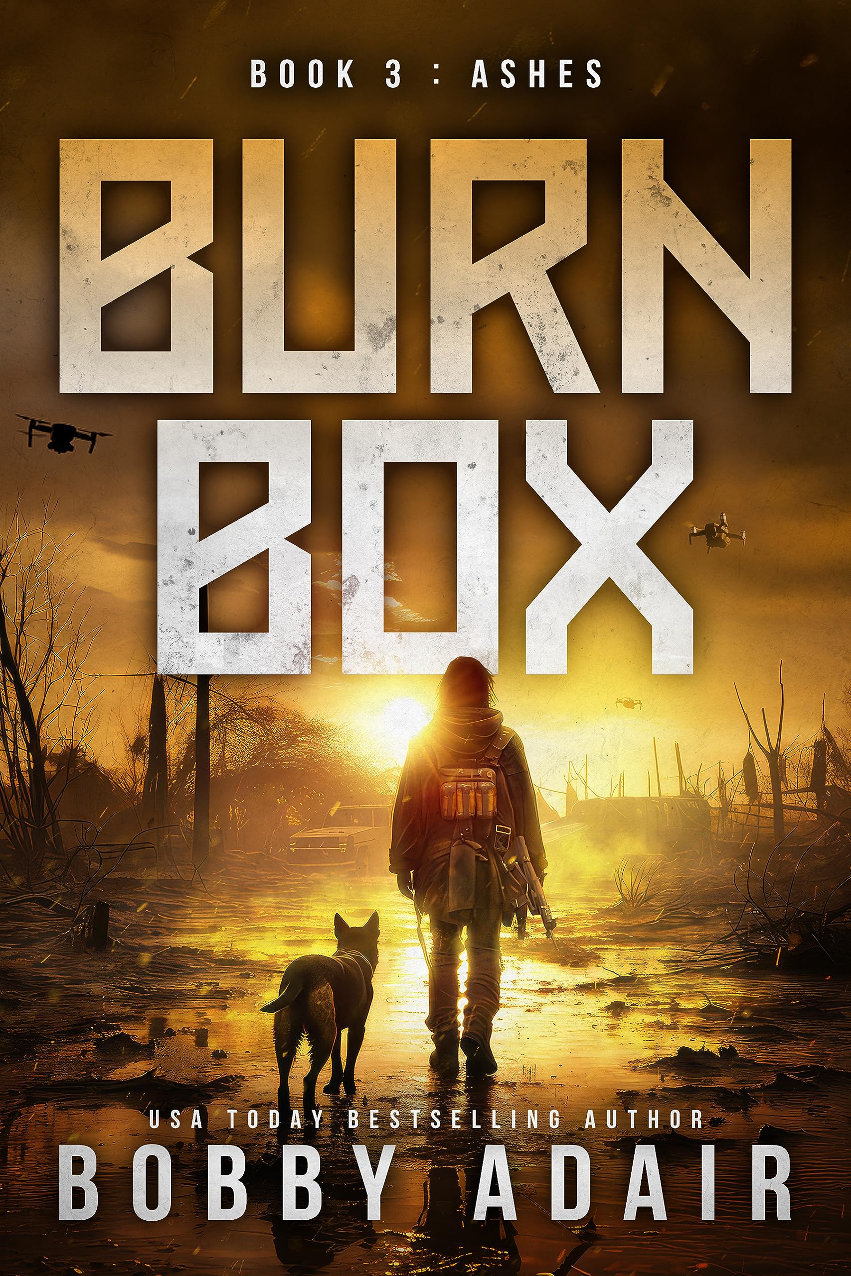 Ashes (Burn Box #3)