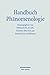 Handbuch Phanomenologie