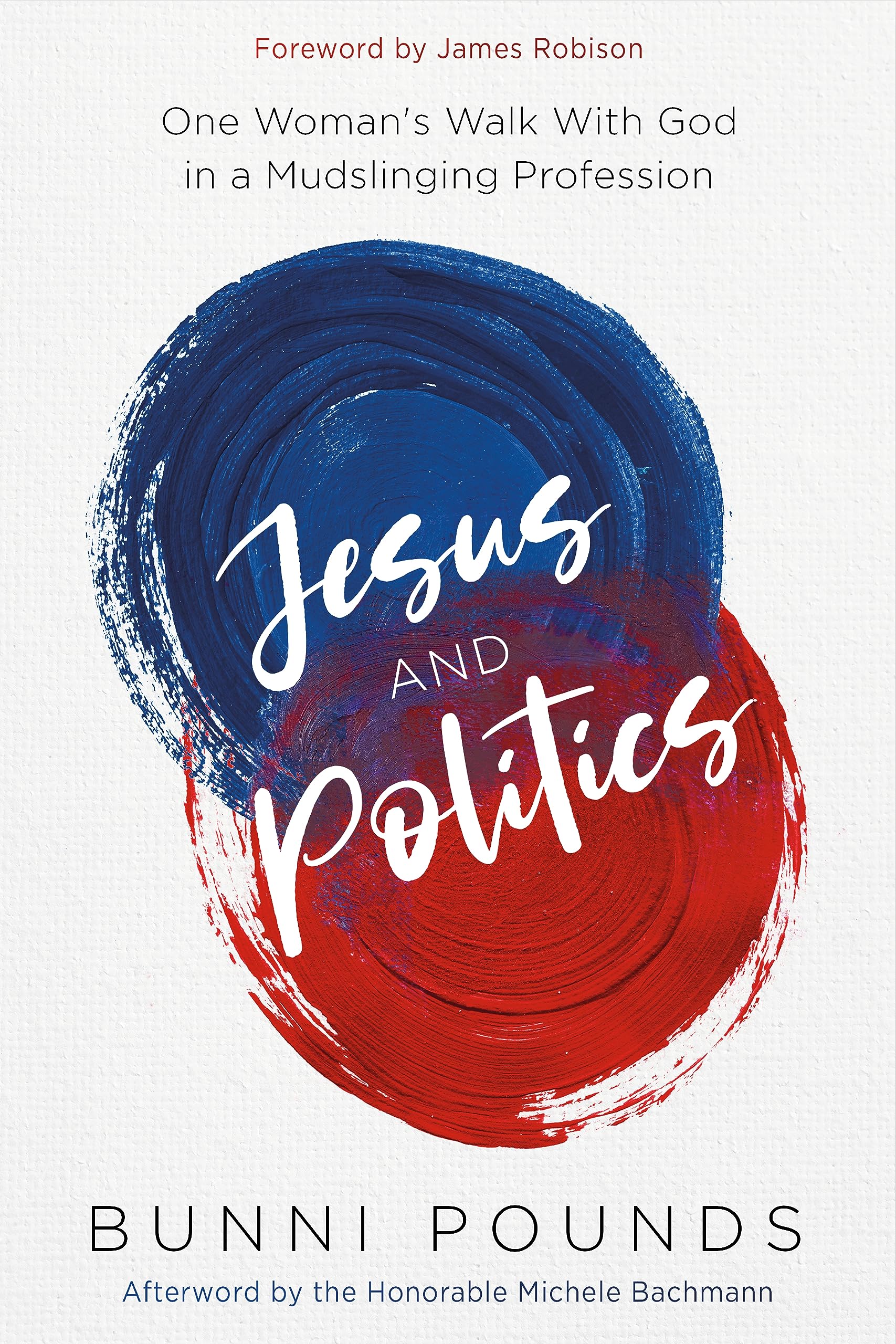Jesus and Politics: One Woman's Walk with God in a Mudslinging Profession (Paperback)