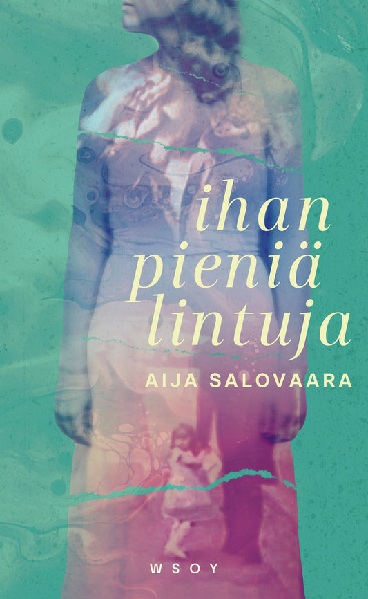 Ihan pieniä lintuja (Hardcover)