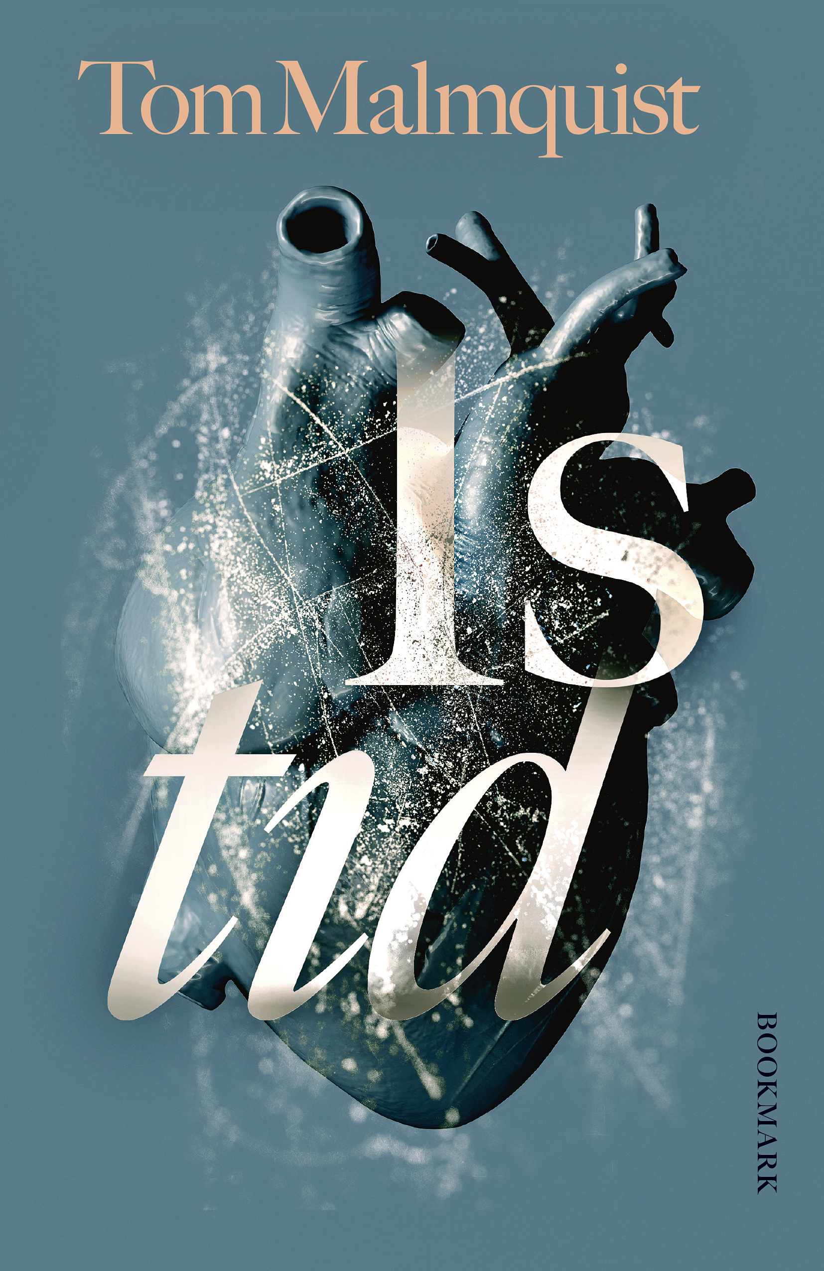 Istid (Hardcover)