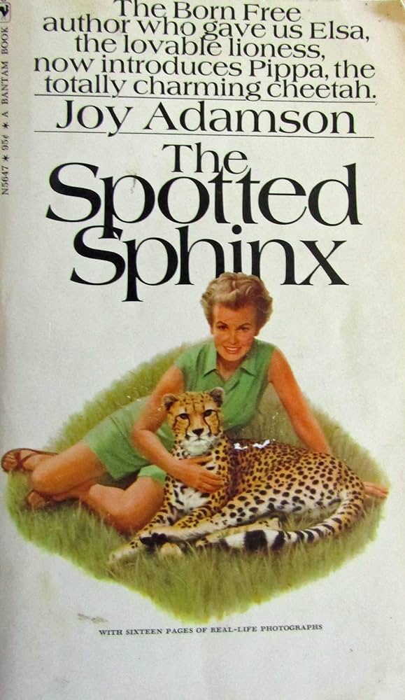 The Spotted Sphinx