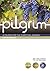 Pilgrim: The Beatitudes: Book 4 (Follow Stage) (Pilgrim Course) by Steven Croft (2014-01-31)