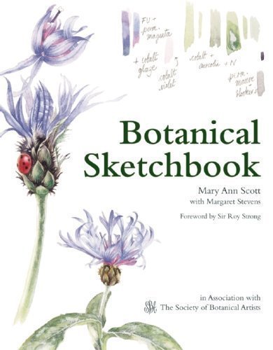 Botanical Sketchbook By Mary Ann Scott, Margaret Stevens (Hardcover)