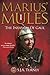Marius' Mules I: The Invasion of Gaul by S.J.A. Turney (2013) Paperback
