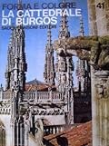 La Cattedrale di Burgos. Forma e Colore 41. I Grandi Cicli Dell'Arte.