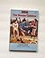 The Boxcar Children Surprise Island #2 Gertrue Chandler Warner by Gertrude Chandler Warner