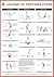 Stretching Wall Chart by Br...