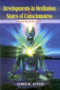 Development in Meditation and State of Consciousness: Zen Brain Reflections (Hardcover)
