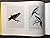 Edward Lear & Knowsley: [ca...