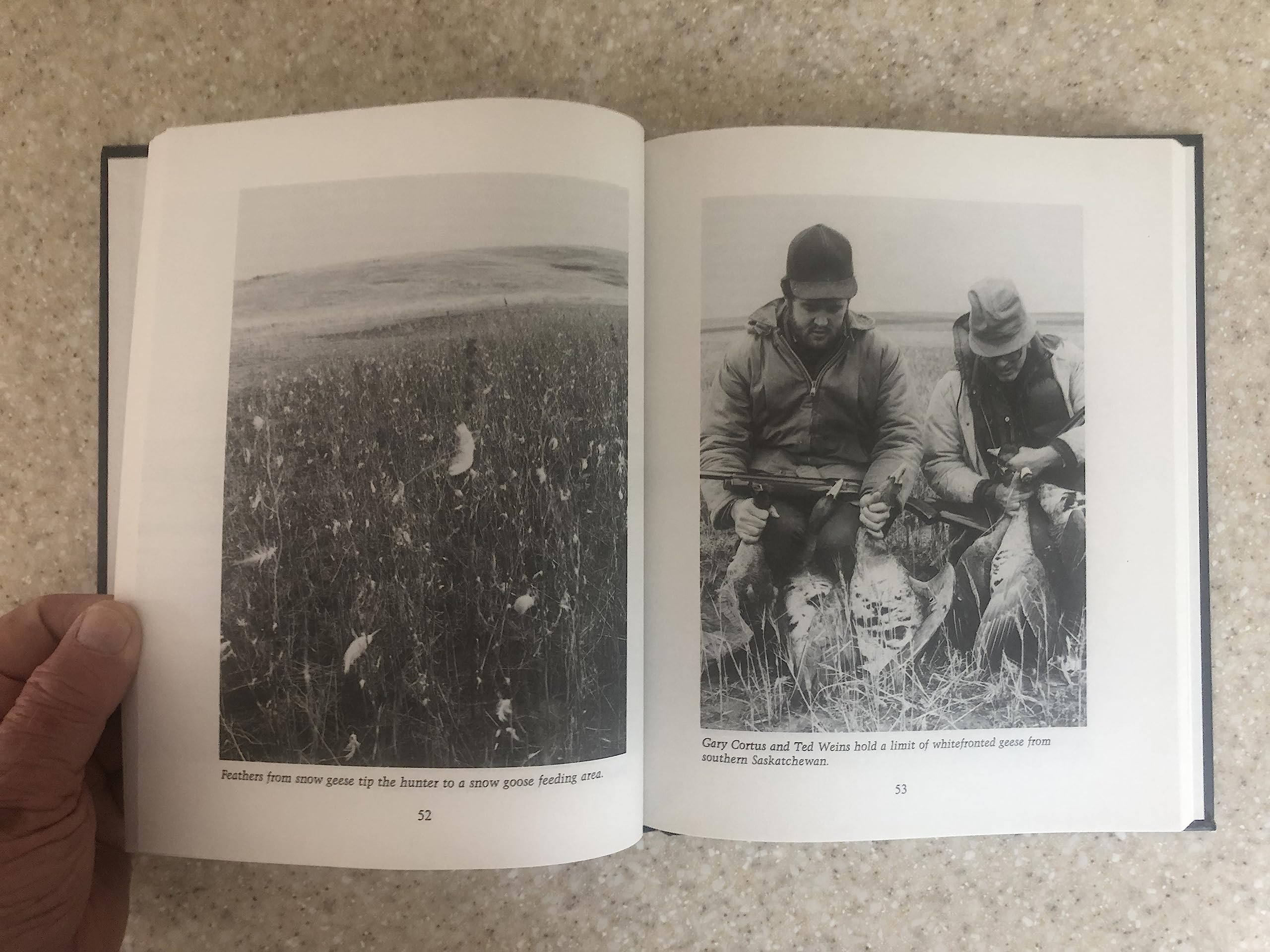 Successful Goose Hunting (Hardcover)