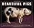 Beautiful Pigs: Portraits o...