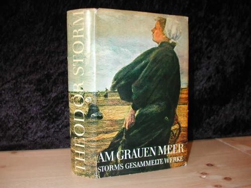 Theodor Storm - Am grauen Meer - (Unknown Binding)