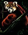 Beauty in the Beast: Flora, Fauna, and Endangered Species of Artist Ralph Burke Tyree Beauty in the Beast: Flora, Fauna, and Endangered Species of Artist Ralph Burke Tyree