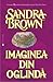 Imaginea din oglinda by Sandra       Brown