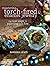 Mastering Torch-Fired Enamel Jewelry: The Next Steps in Painting with Fire by Barbara Lewis (2014-10-31)