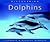Dolphins (Discovering)