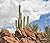 Desert_Spirit