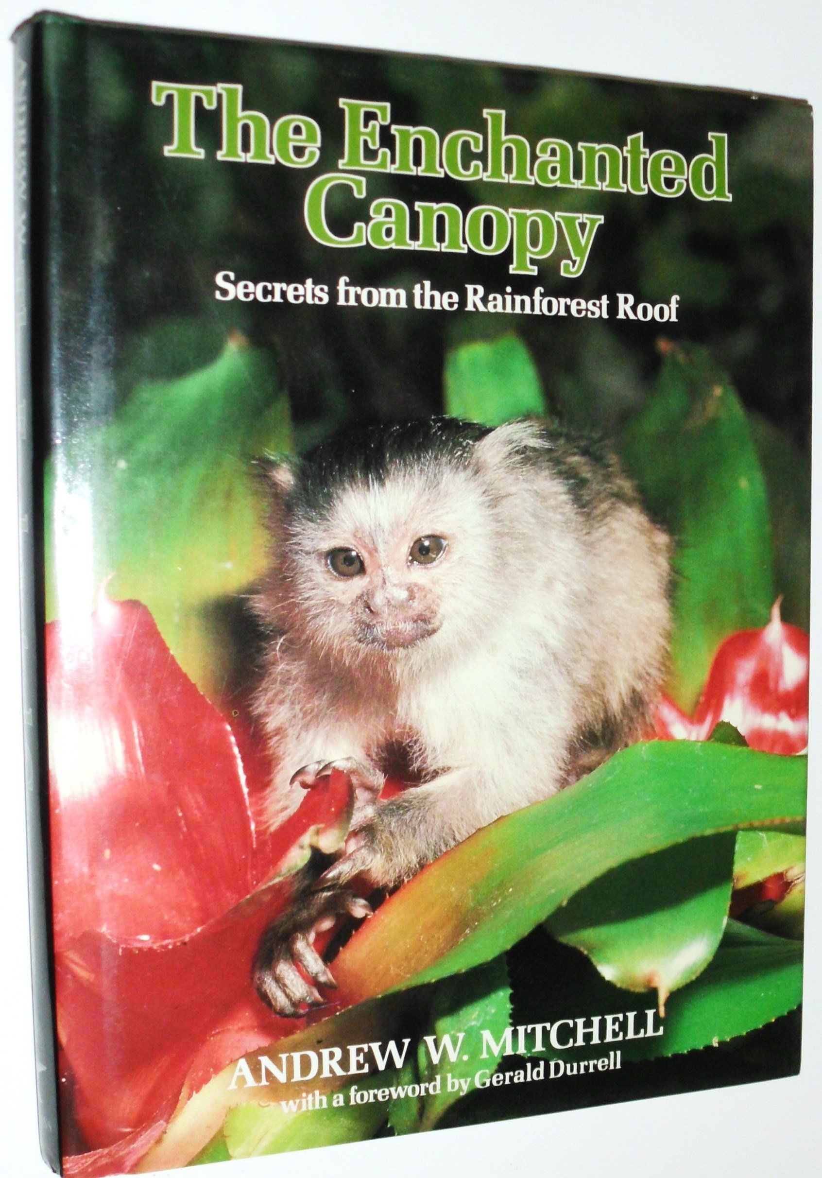 The ENCHANTED CANOPY: Secrets from the Rainforest Roof (Hardcover)