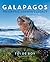 Galapagos by Tui de Roy (20...