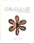Calculus by Paul Sisson