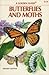 Butterflies and Moths