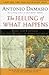 The Feeling of What Happens: Body and Emotion in the Making of Consciousness