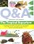 Questions and Answers: The ...