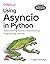 USING ASYNCIO IN PYTHON