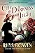 City of Darkness and Light (Molly Murphy, #13)